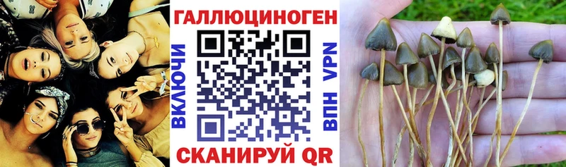 Галлюциногенные грибы прущие грибы  купить наркотик  блэк спрут ONION  Котлас 