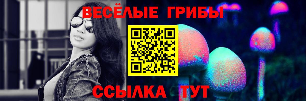 Котлас  Псилоцибиновые грибы ЛСД  Вход с VPN 