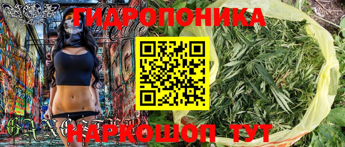 Котлас  Каннабис тримм  Бошки Шишки SATIVA & INDICA  Вход с VPN 